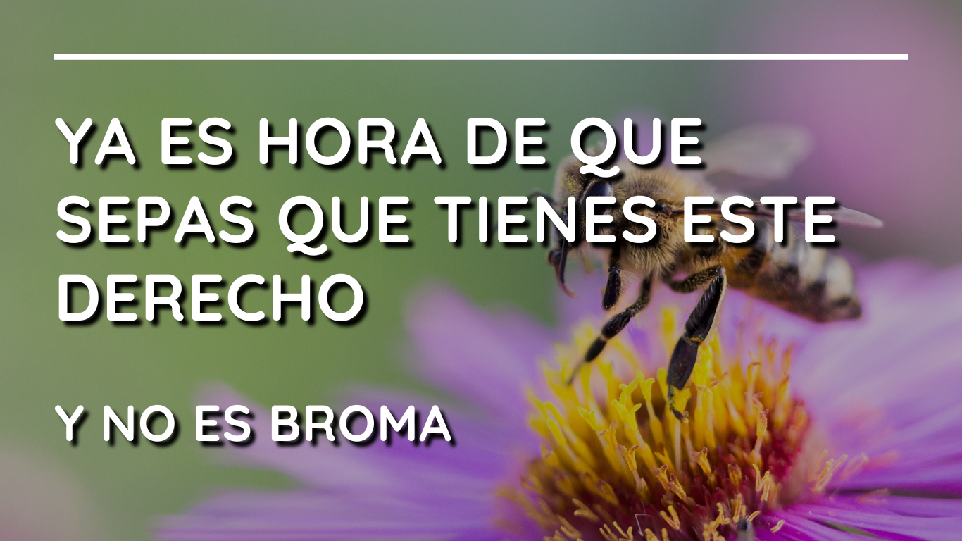 Ya es hora de que sepas que tienes este Derecho. Y no es broma.
